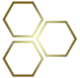 Evolet Infosystem LLP logo